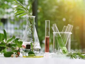 herbs, bottles and jars with different types of oils. Alternative medicine concept.