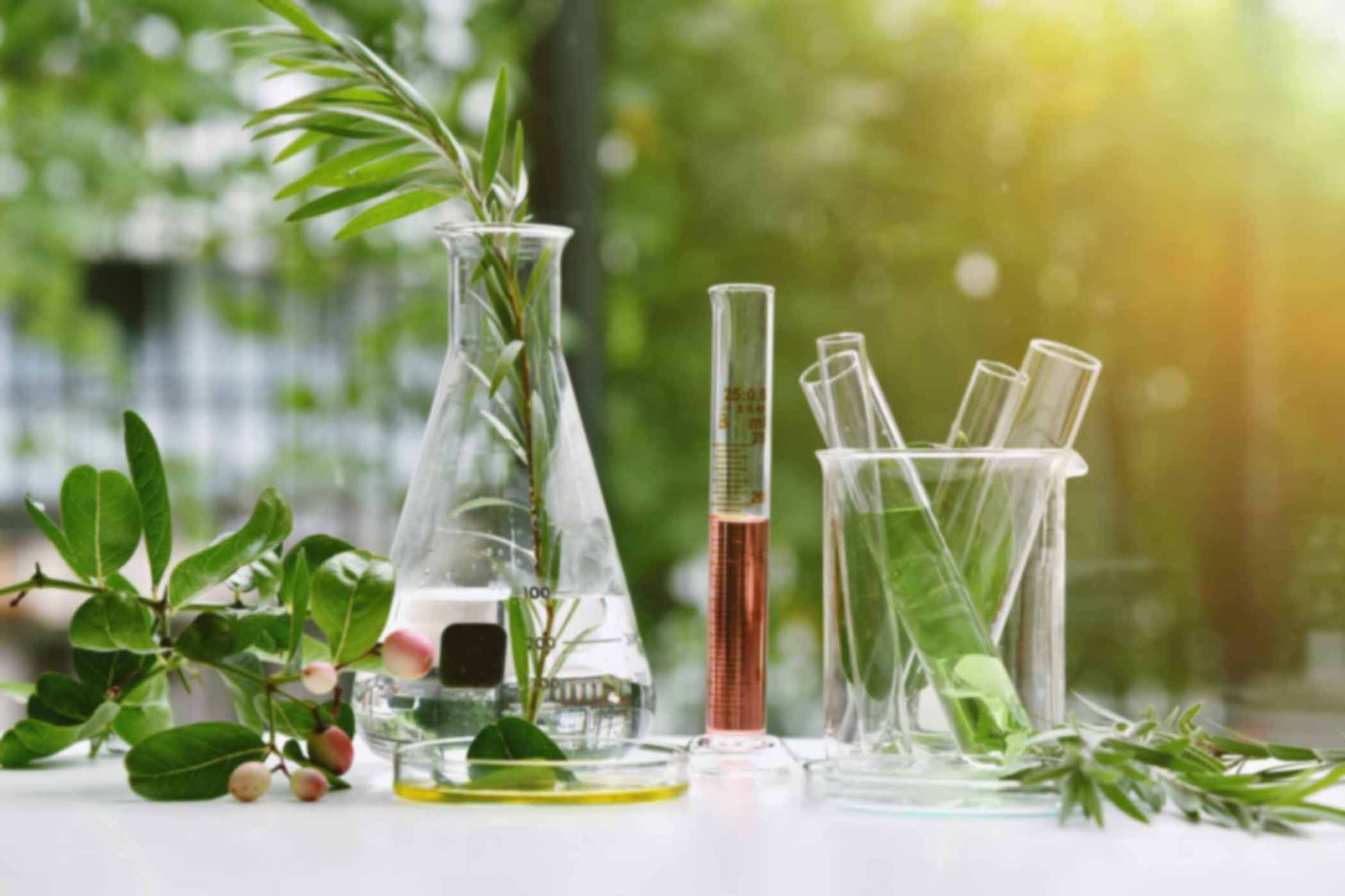 Complementary-and-Alternative-Medicine-Part-I herbs, bottles and jars with different types of oils. Alternative medicine concept.