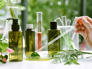 herbs and bottles and jars with different types of oils. Alternative medicine concept.
