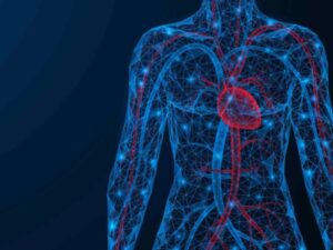 Blue holographic human body and red heart.