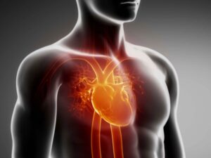 male body illustration with highlighted focus in yellow on the heart