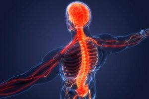 Focused Neurological Assessment