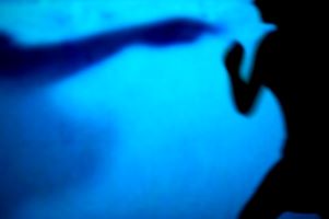 Kentucky Domestic Violence