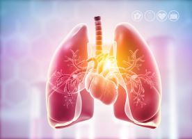 Pulmonary Anatomy, Physiology and assessment
