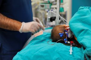Understanding and Managing Pediatric Trauma