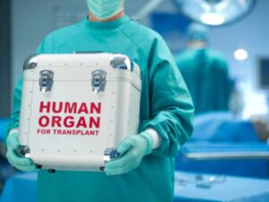 nurse holding a human organ container