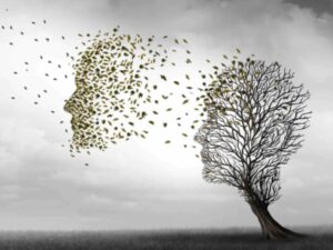 tree losing leaves, depicting Alzheimer's disease