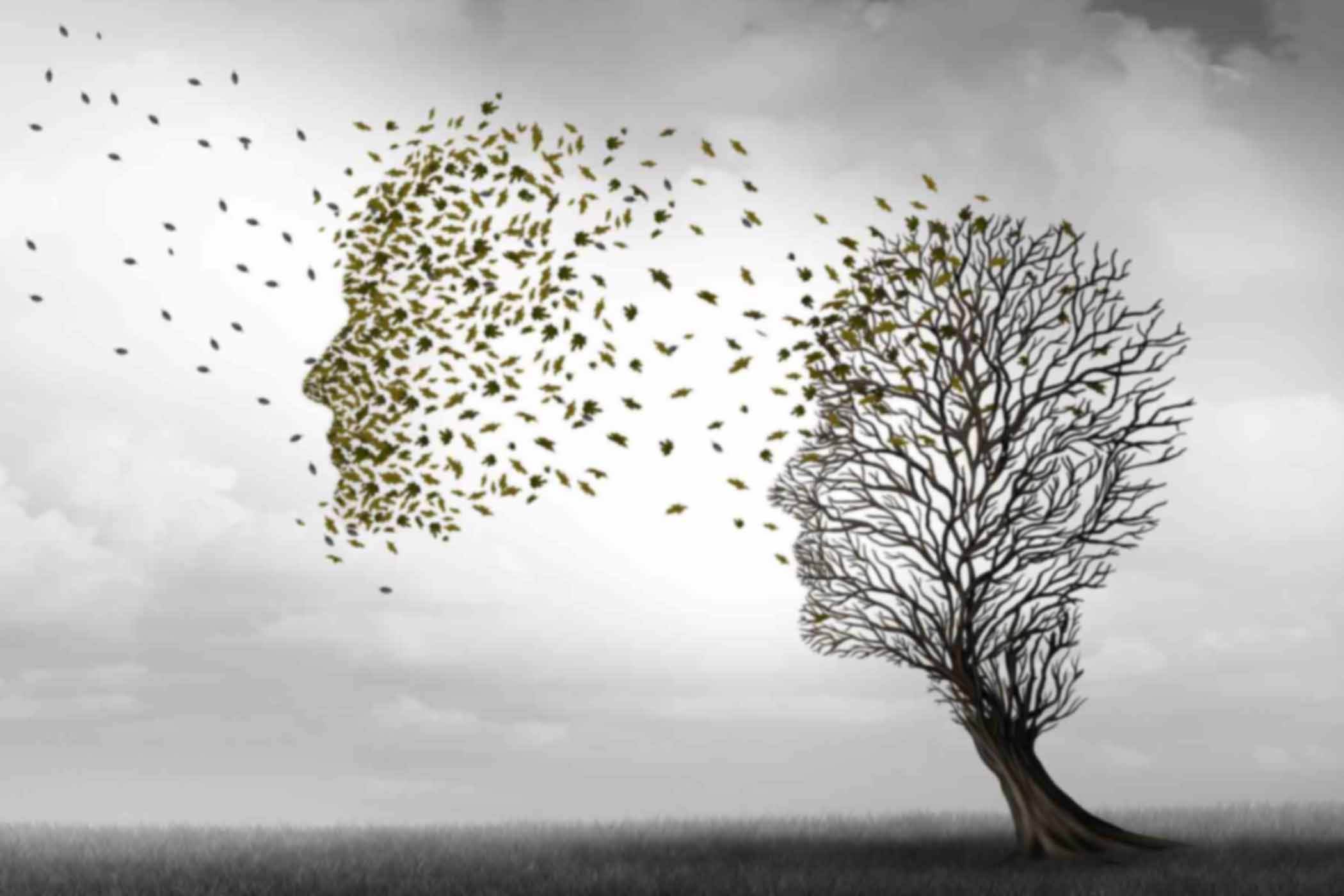 Comprehensive-Review-of-Alzheimers-Disease tree losing leaves, depicting Alzheimer's disease