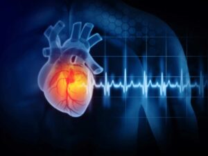 abstract human heart with cardiogram line on a dark background